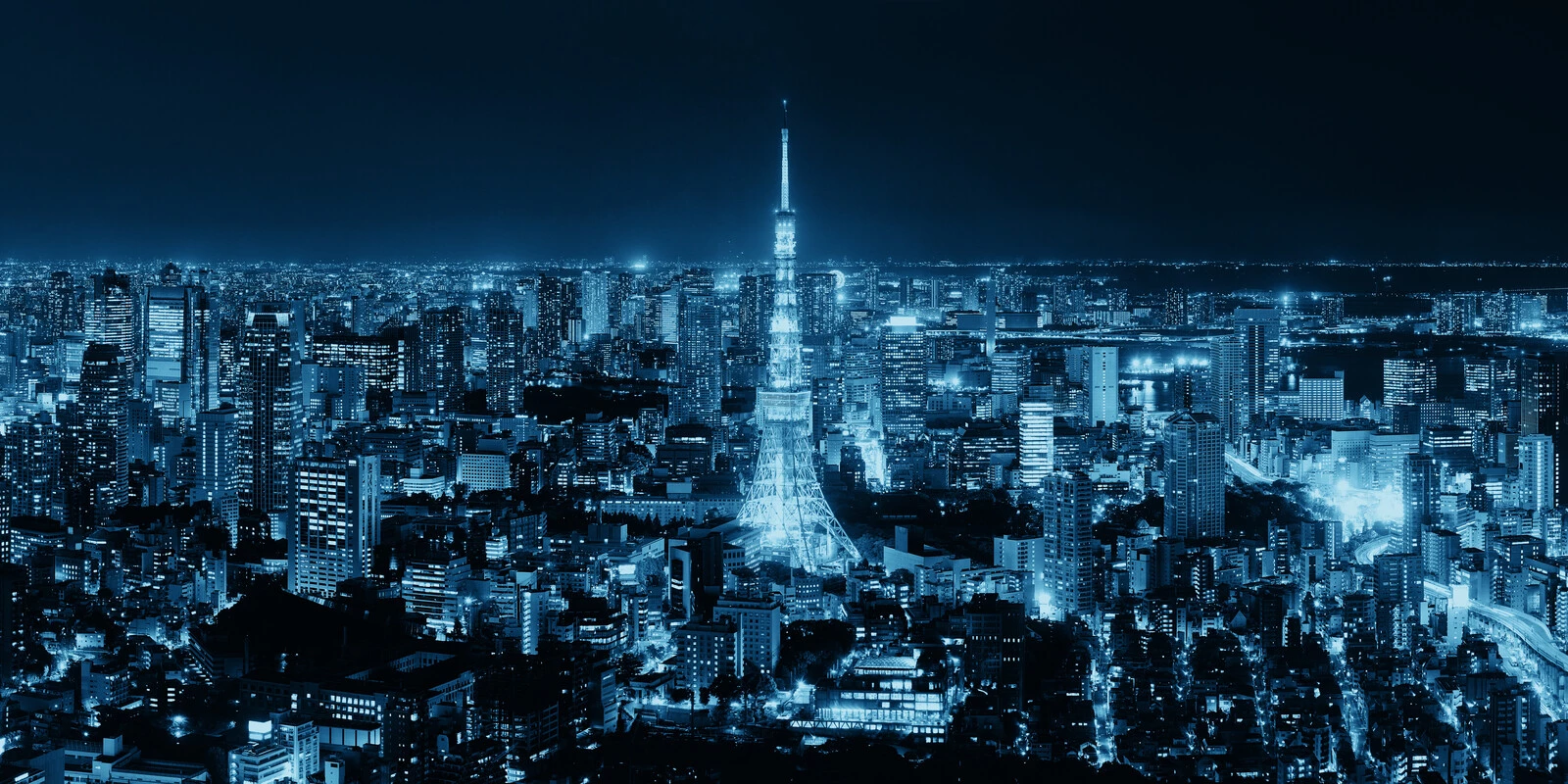 IL VALORE DELLA WEB REPUTATION DELLE CITT? ITALIANE PER LA CRESCITA DEL PAESE