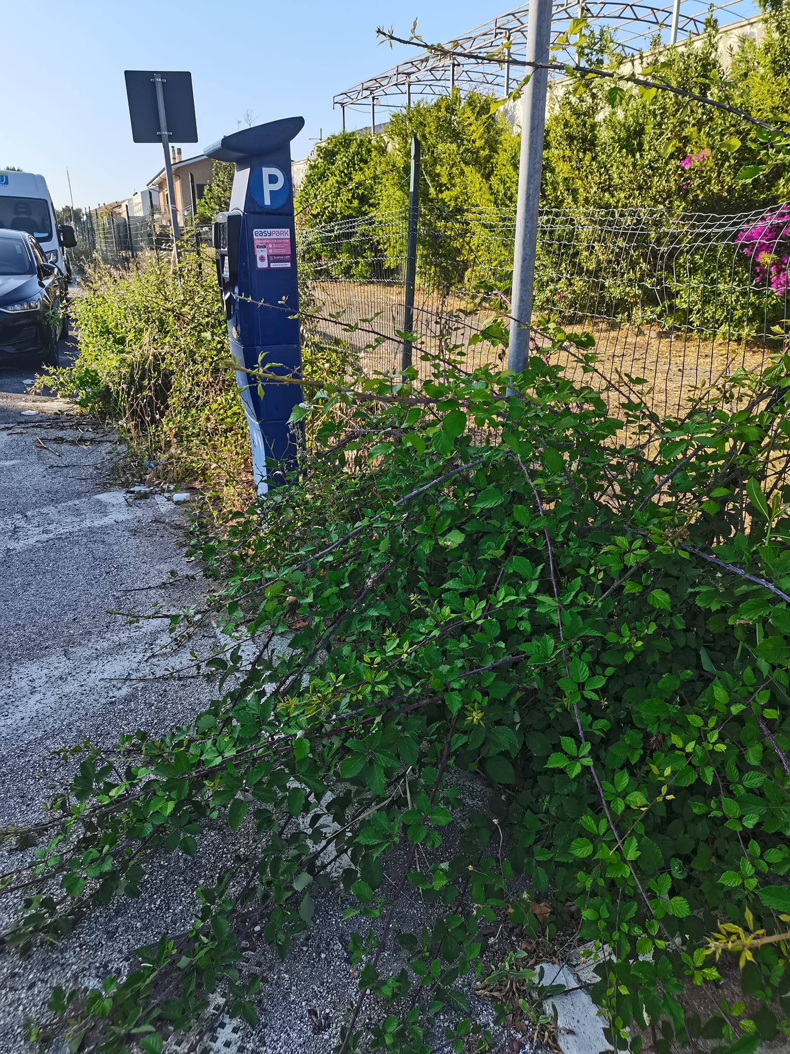 A Pineto, aree verdi accanto alle colonnine del parcheggio nell?abbandono