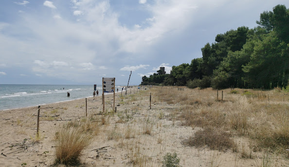 Pineto: da Perla Verde a Smart City del Benessere